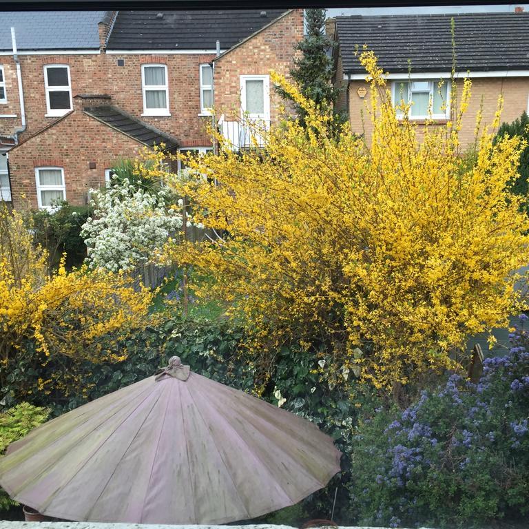 Catford Séjour chez l'habitant *